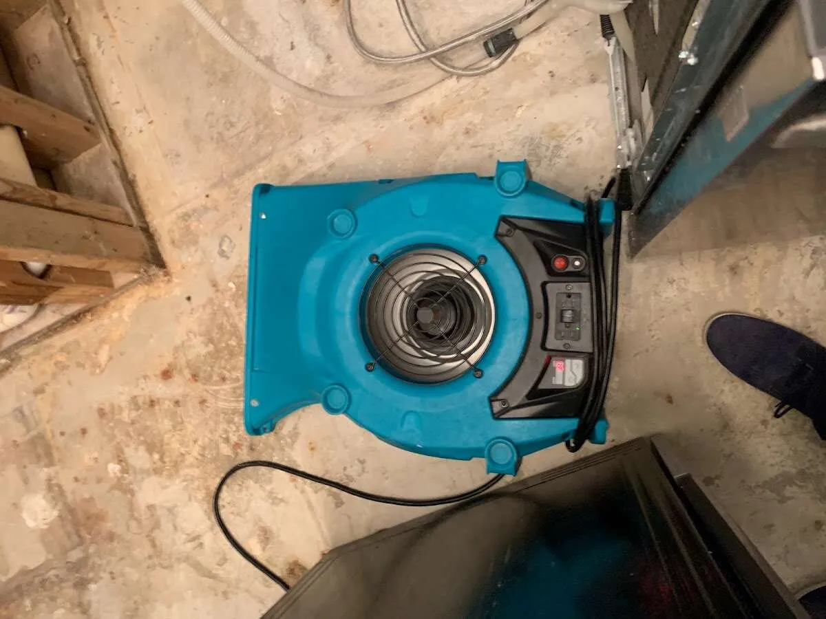 Air mover drying equipment for Mold Remediation & Removal in Lunenburg